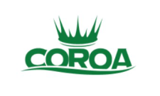coroa